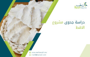 دراسة جدوى مشروع الاقط