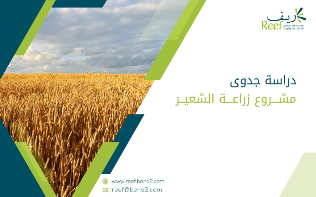 دراسة جدوى مشروع زراعة الشعير