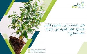 هل دراسة جدوى مشروع الأسر المنتجة لها أهمية في النجاح الاستثماري؟ (1)