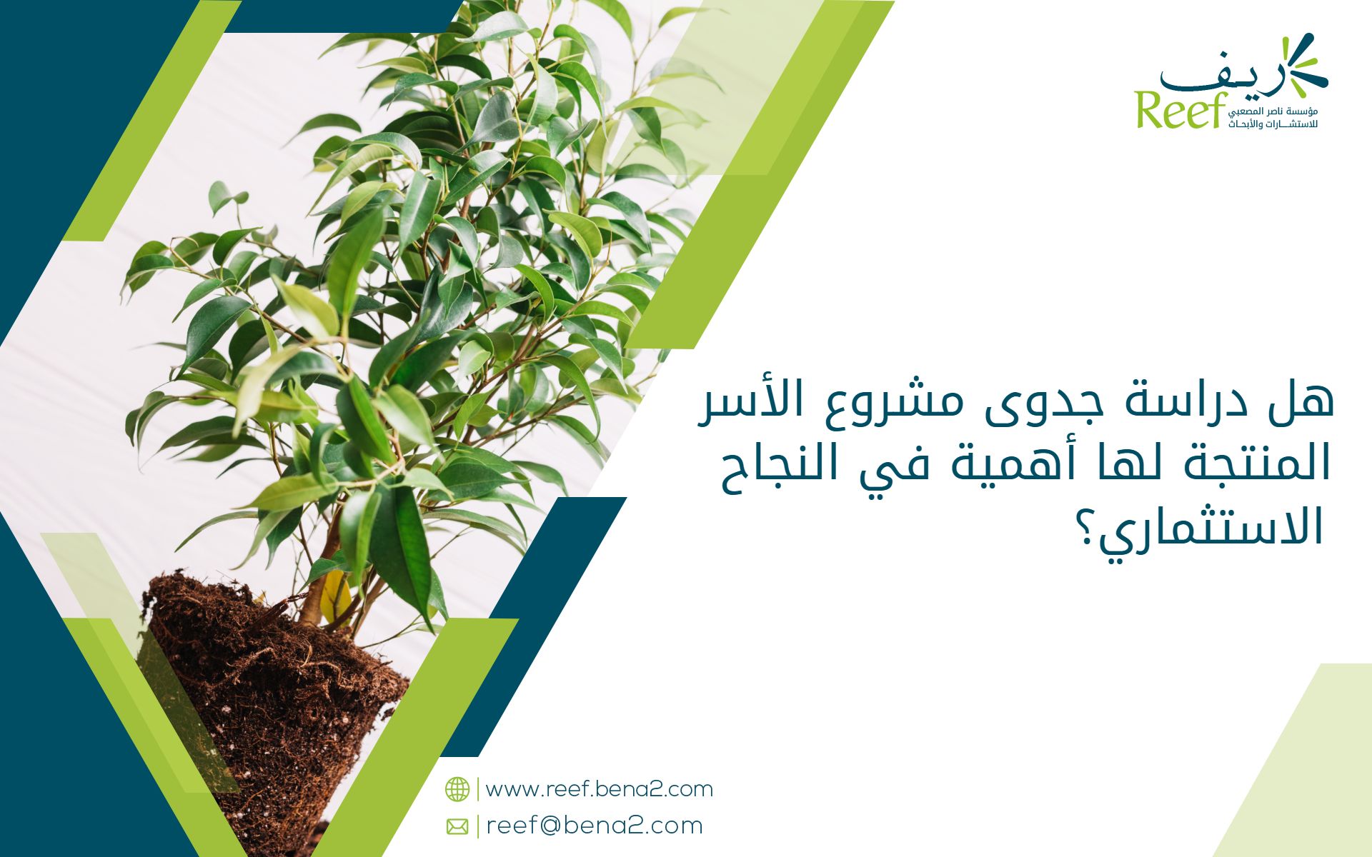 هل دراسة جدوى مشروع الأسر المنتجة لها أهمية في النجاح الاستثماري؟ (1)