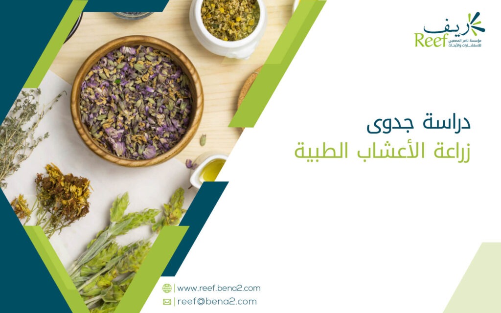 دراسة جدوى زراعة الأعشاب الطبية