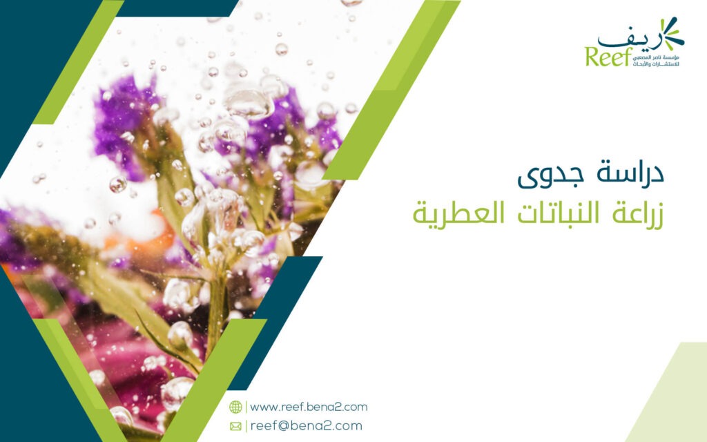 دراسة جدوى زراعة النباتات العطرية