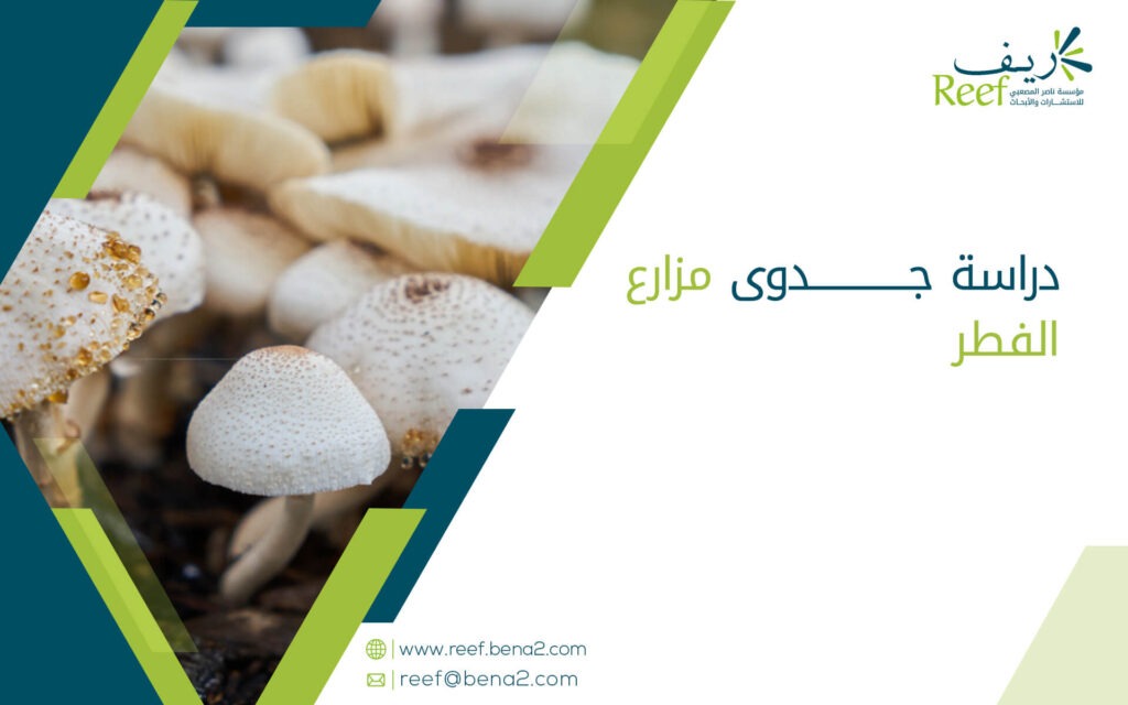 دراسة جدوى مزارع الفطر