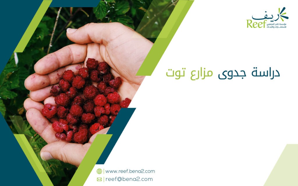 دراسة جدوى مزارع توت