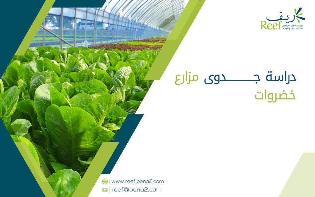 دراسة جدوى مزارع خضروات