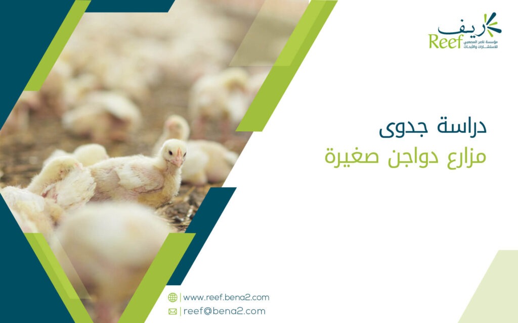 دراسة جدوى مزارع دواجن صغيرة