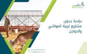 دراسة جدوى مشاريع تربية المواشي والدواجن