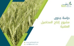 دراسة جدوى مشروع إنتاج المحاصيل العلفية