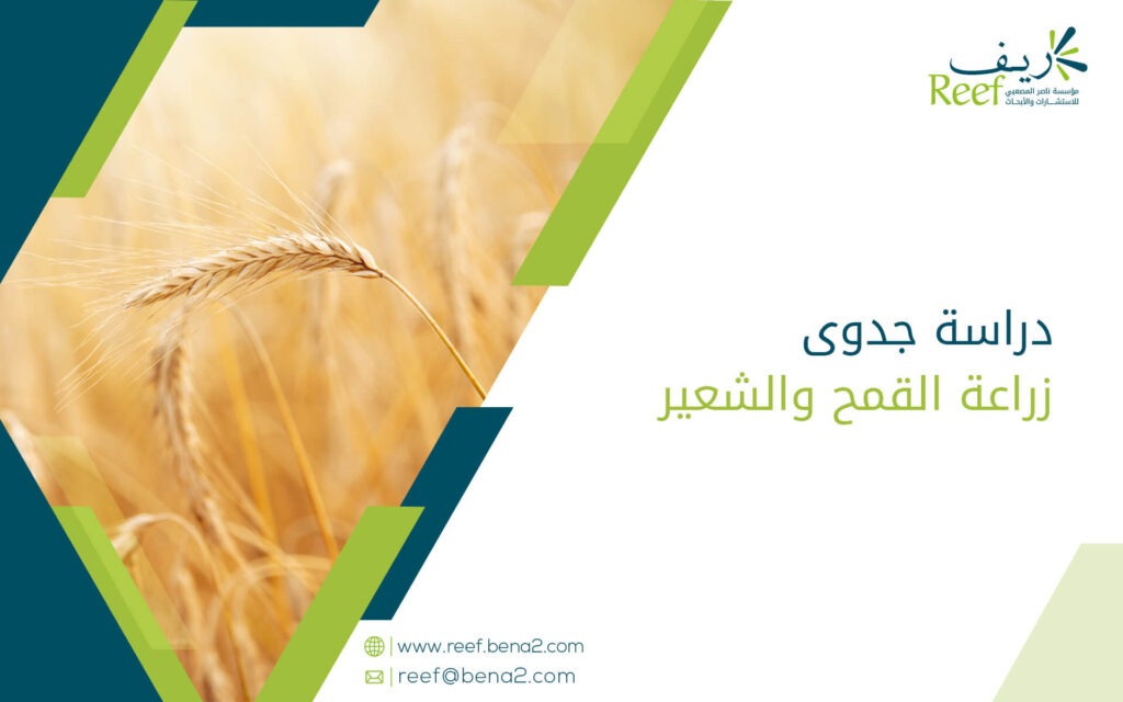 دراسة جدوى زراعة القمح والشعير