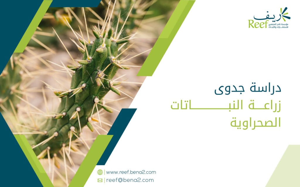 دراسة جدوى زراعة النباتات الصحراوية