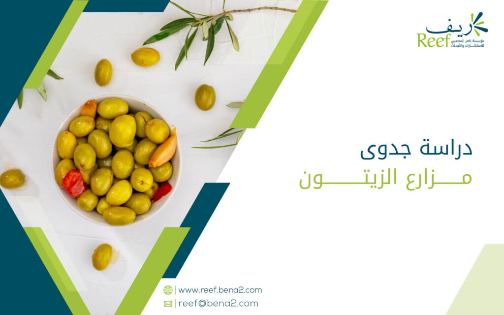 دراسة جدوى مزارع الزيتون