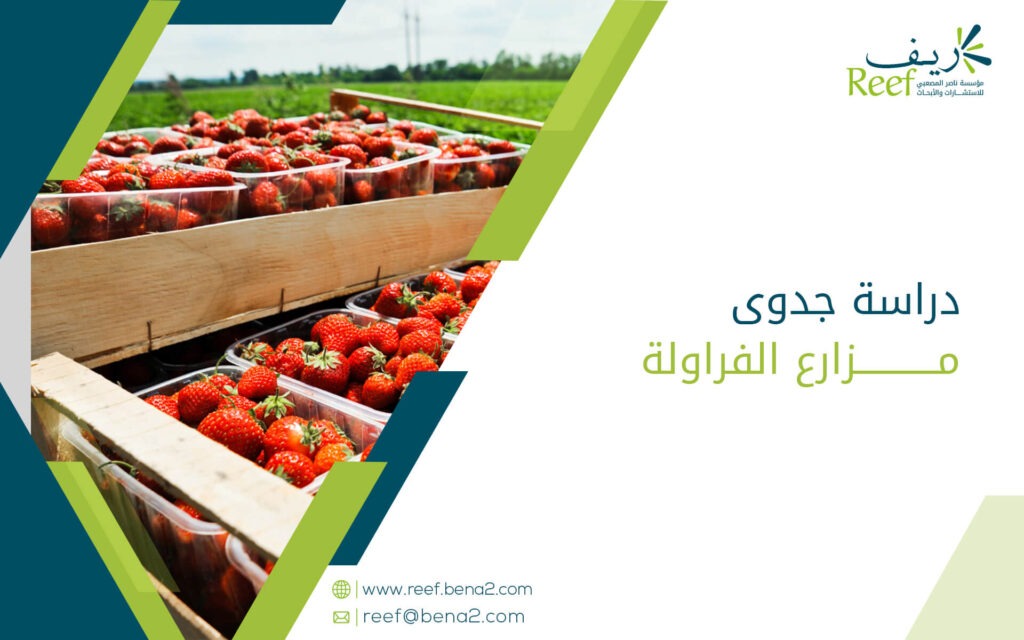 دراسة جدوى مزارع الفراولة