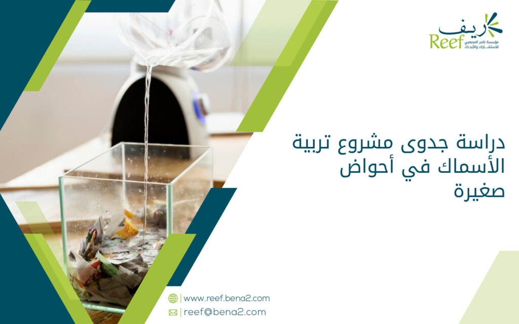دراسة جدوى مشروع تربية الأسماك في أحواض صغيرة