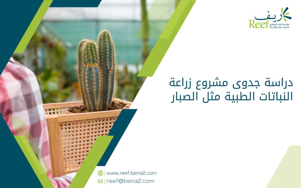 دراسة جدوى مشروع زراعة النباتات الطبية مثل الصبار