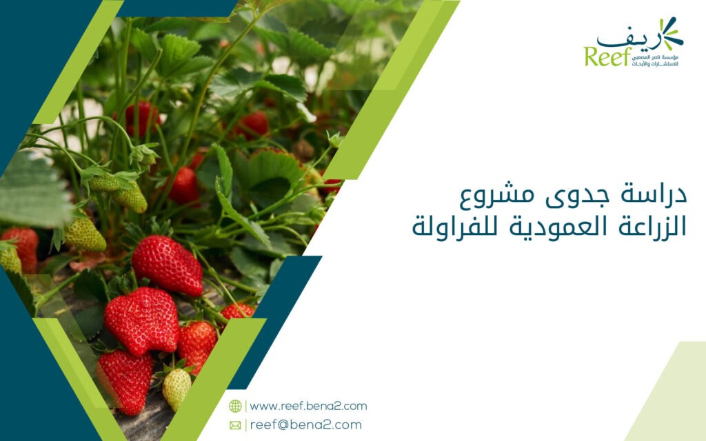 دراسة جدوى مشروع الزراعة العمودية للفراولة