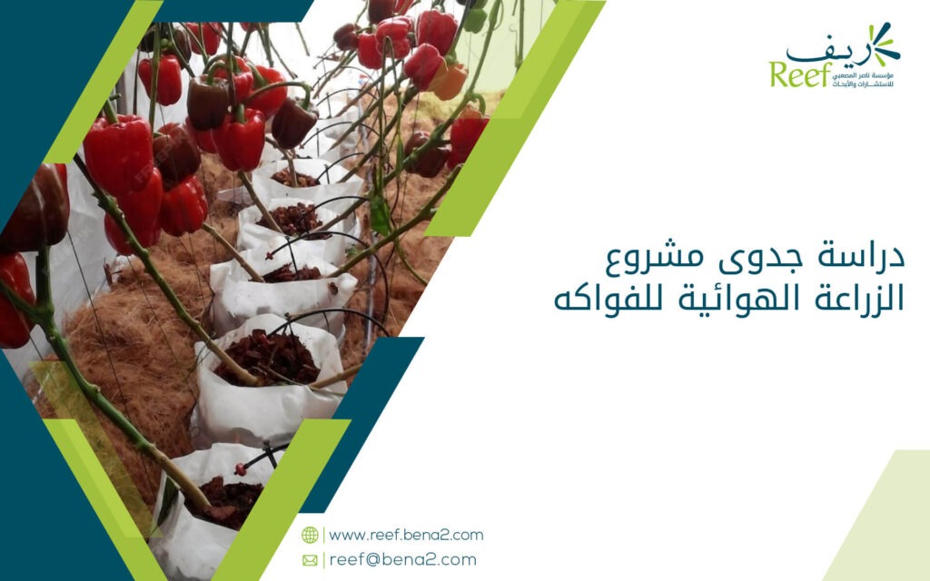 دراسة جدوى مشروع الزراعة الهوائية للفواكه