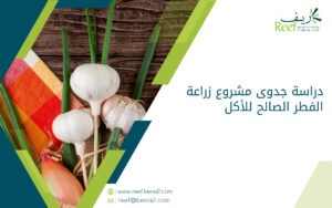 دراسة جدوى مشروع زراعة الفطر الصالح للأكل