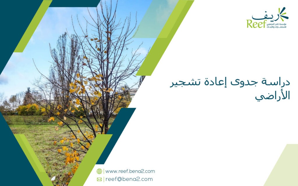 دراسة جدوى إعادة تشجير الأراضي