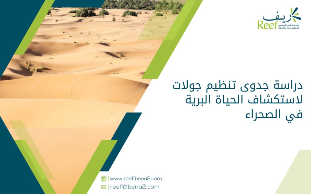 دراسة جدوى تنظيم جولات لاستكشاف الحياة البرية في الصحراء
