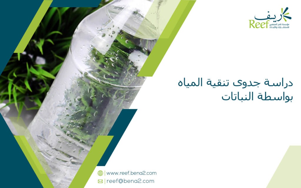 دراسة جدوى تنقية المياه بواسطة النباتات
