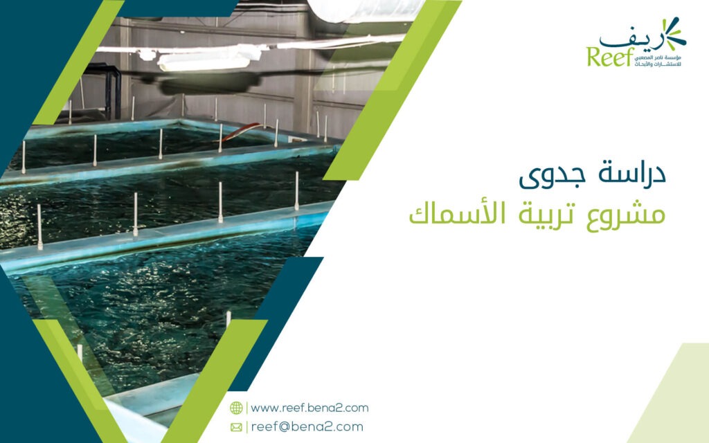 دراسة جدوى مشروع تربية الأسماك