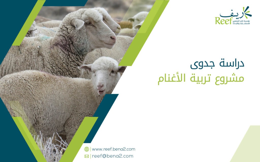 دراسة جدوى مشروع تربية الأغنام