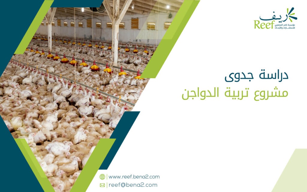 دراسة جدوى مشروع تربية الدواجن