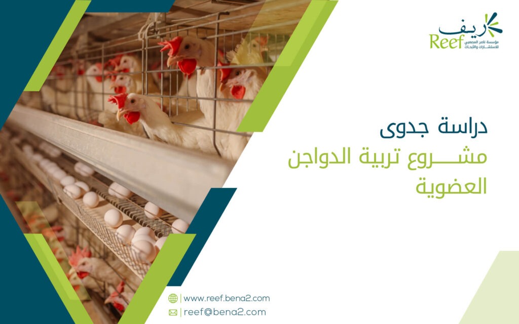 دراسة جدوى مشروع تربية الدواجن العضوية