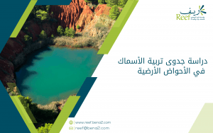 دراسة جدوى تربية الأسماك في الأحواض الأرضية