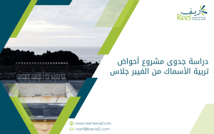 دراسة جدوى مشروع أحواض تربية الأسماك من الفيبر جلاس