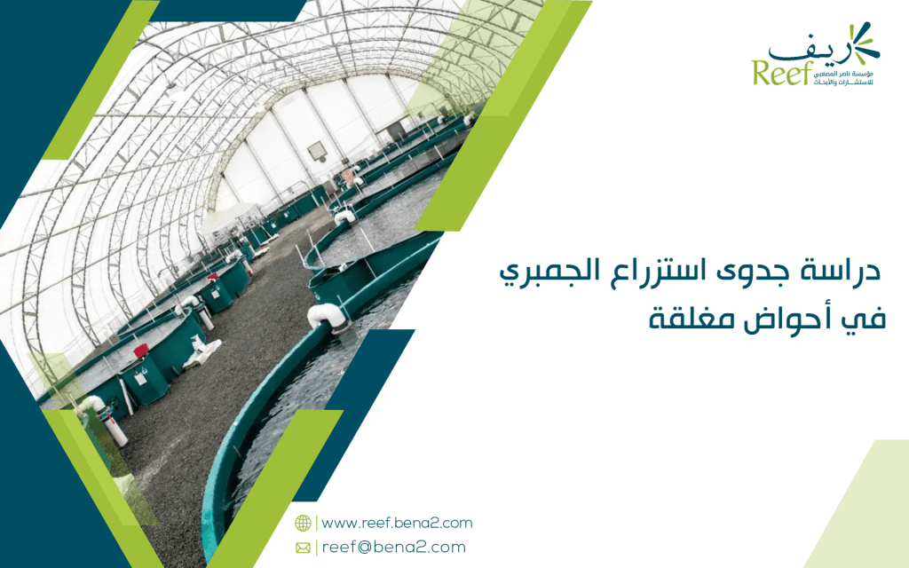 دراسة جدوى استزراع الجمبري في أحواض مغلقة