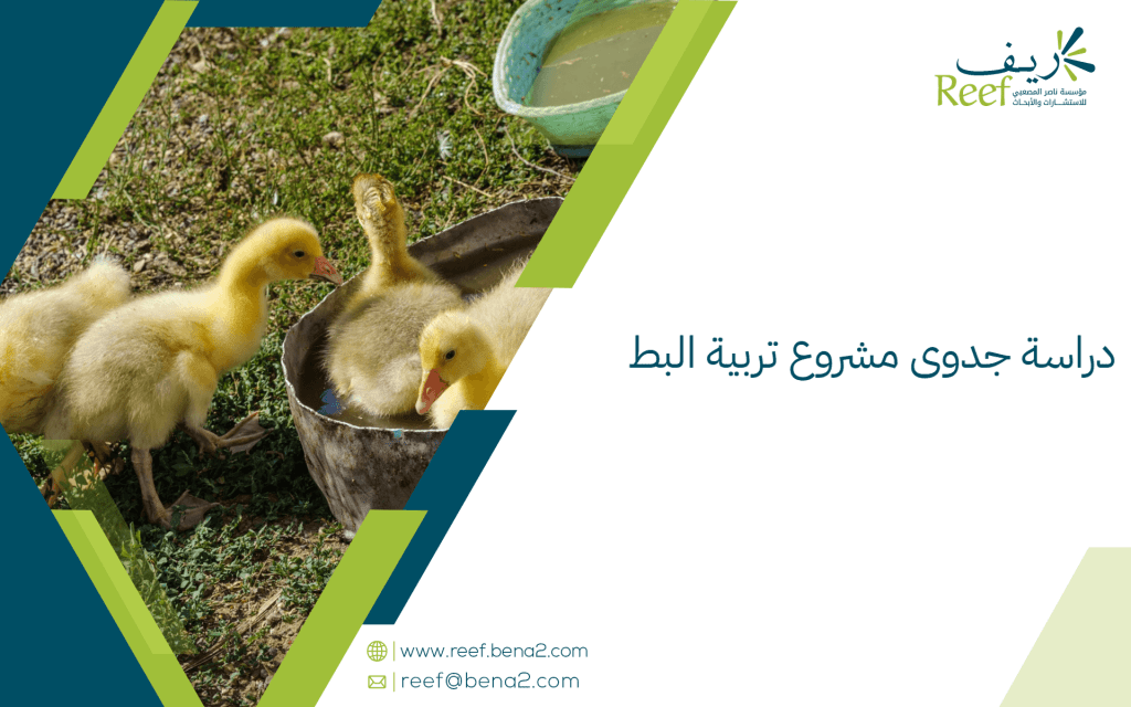 دراسة جدوى مشروع تربية البط