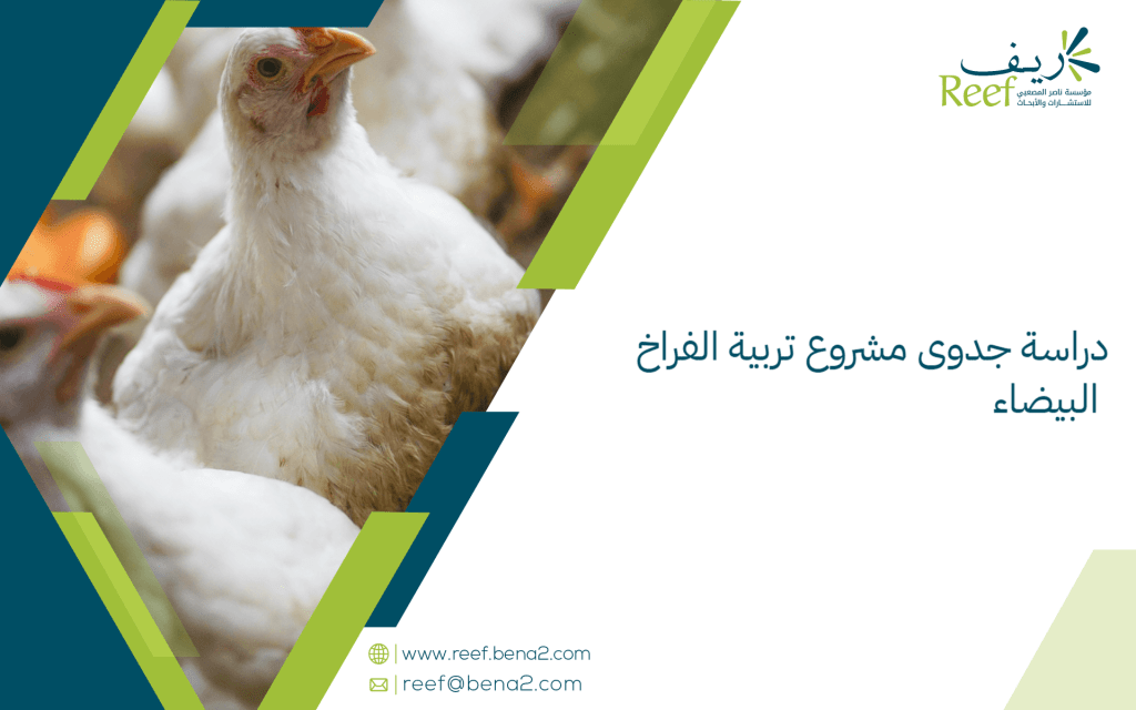دراسة جدوى مشروع تربية الفراخ البيضاء