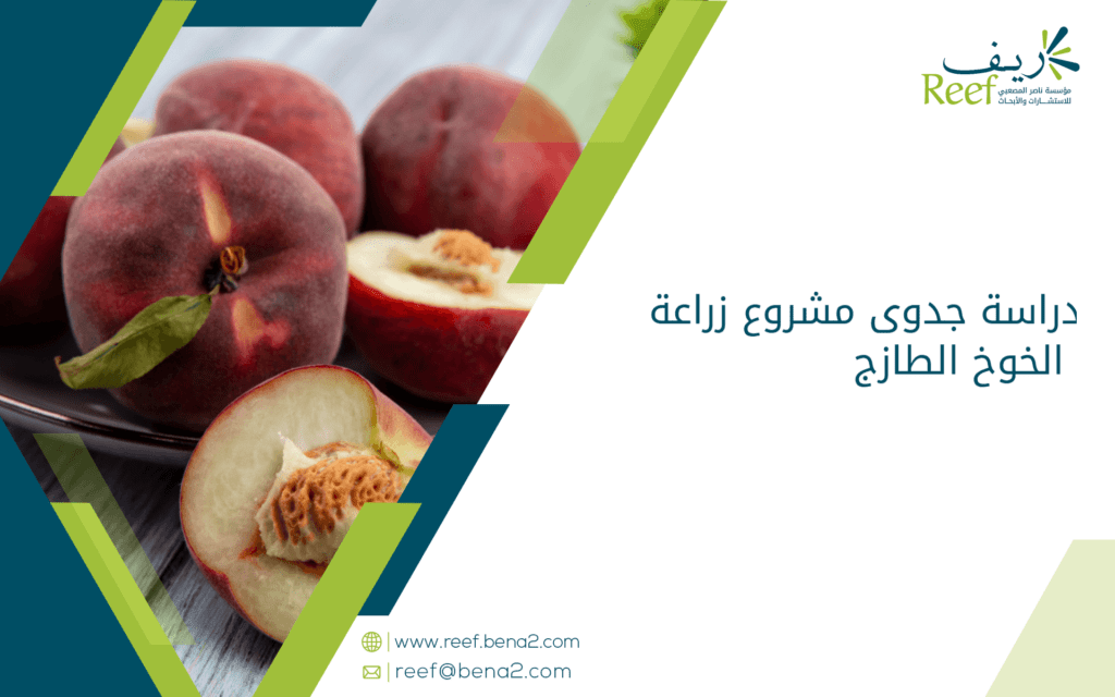 دراسة جدوى مشروع زراعة الخوخ الطازج
