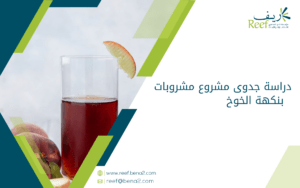 دراسة جدوى مشروع مشروبات بنكهة الخوخ