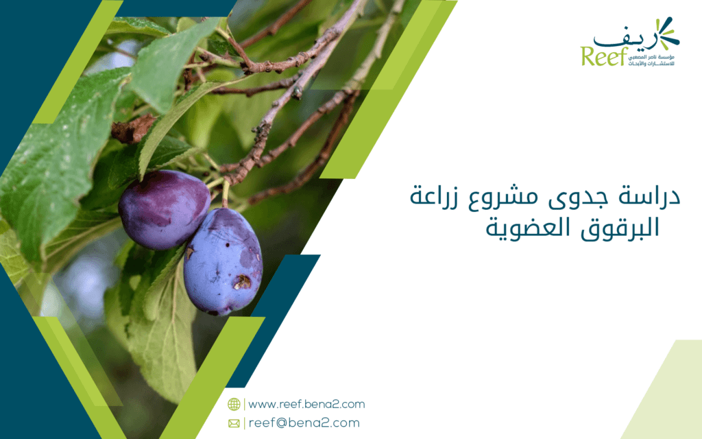 دراسة جدوى مشروع زراعة البرقوق العضوية