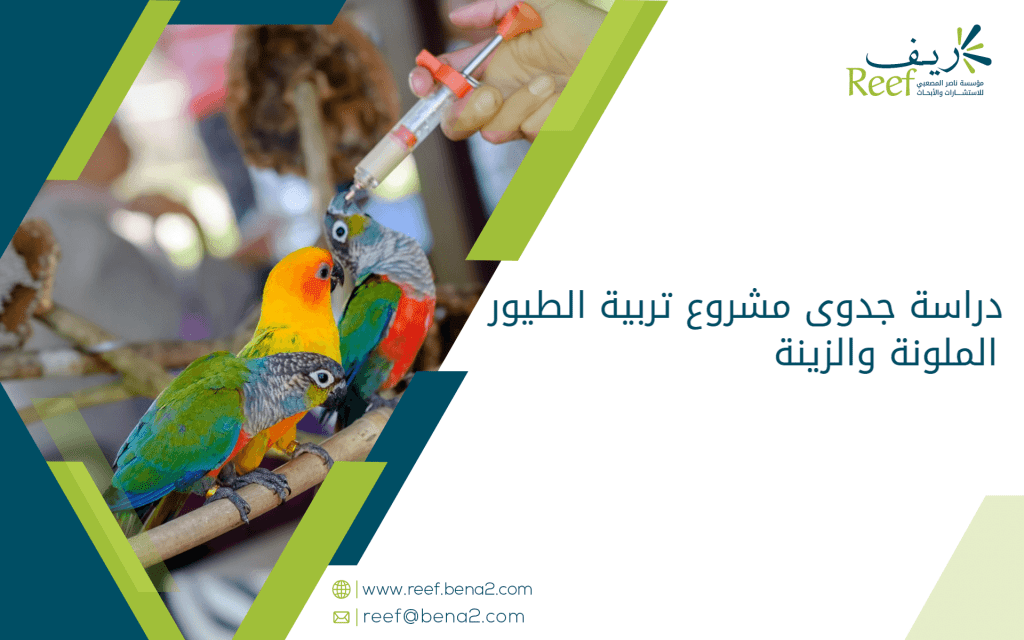 دراسة جدوى مشروع تربية الطيور الملونة والزينة