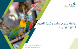 دراسة جدوى مشروع تربية الطيور الملونة والزينة