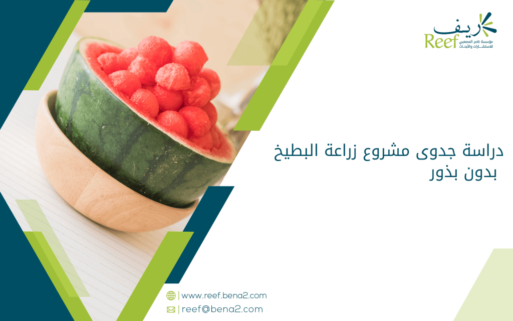 دراسة جدوى مشروع زراعة البطيخ بدون بذور