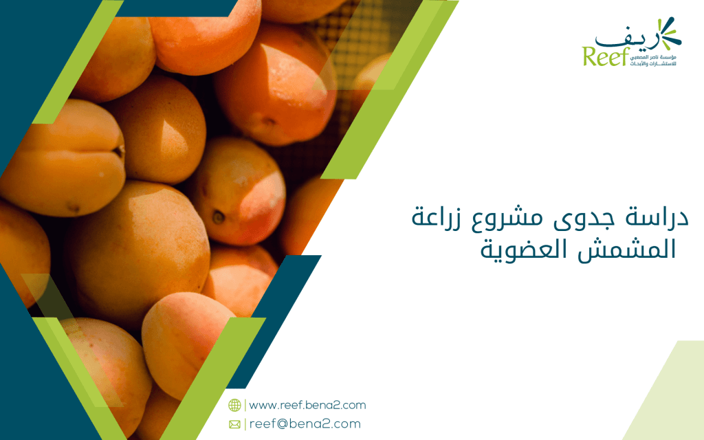 دراسة جدوى مشروع زراعة المشمش العضوية