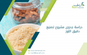 دراسة جدوى مشروع تصنيع دقيق اللوز