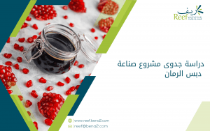 دراسة جدوى مشروع صناعة دبس الرمان