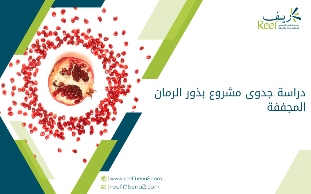 دراسة جدوى مشروع بذور الرمان المجففة