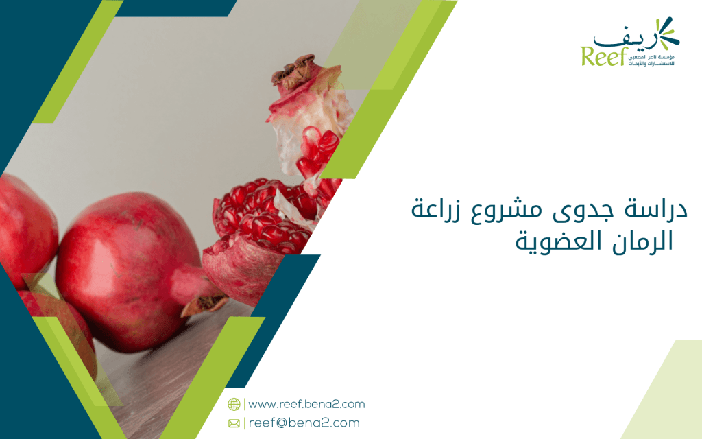 دراسة جدوى مشروع زراعة الرمان العضوية