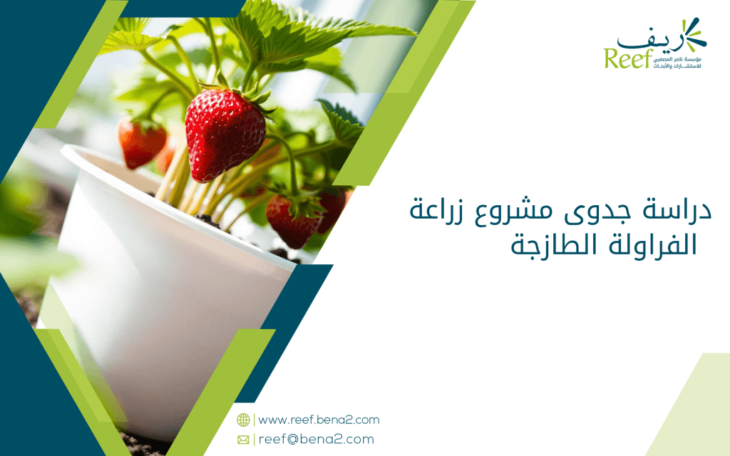دراسة جدوى مشروع زراعة الفراولة الطازجة