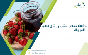 دراسة جدوى مشروع إنتاج مربى الفراولة