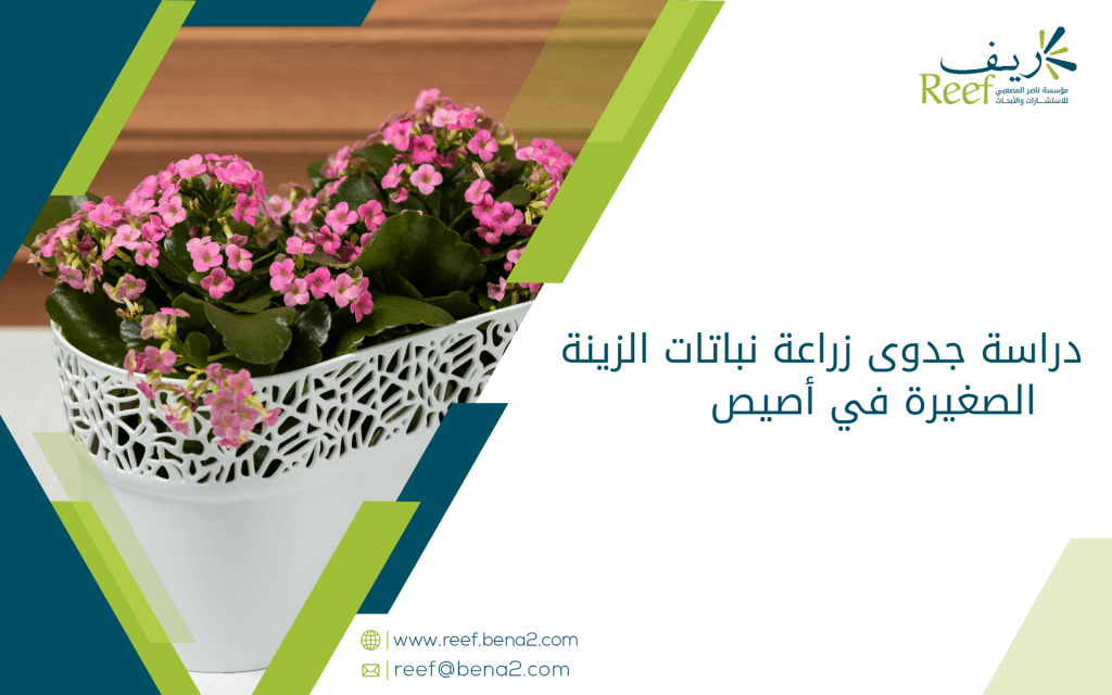 دراسة جدوى زراعة نباتات الزينة الصغيرة في أصيص