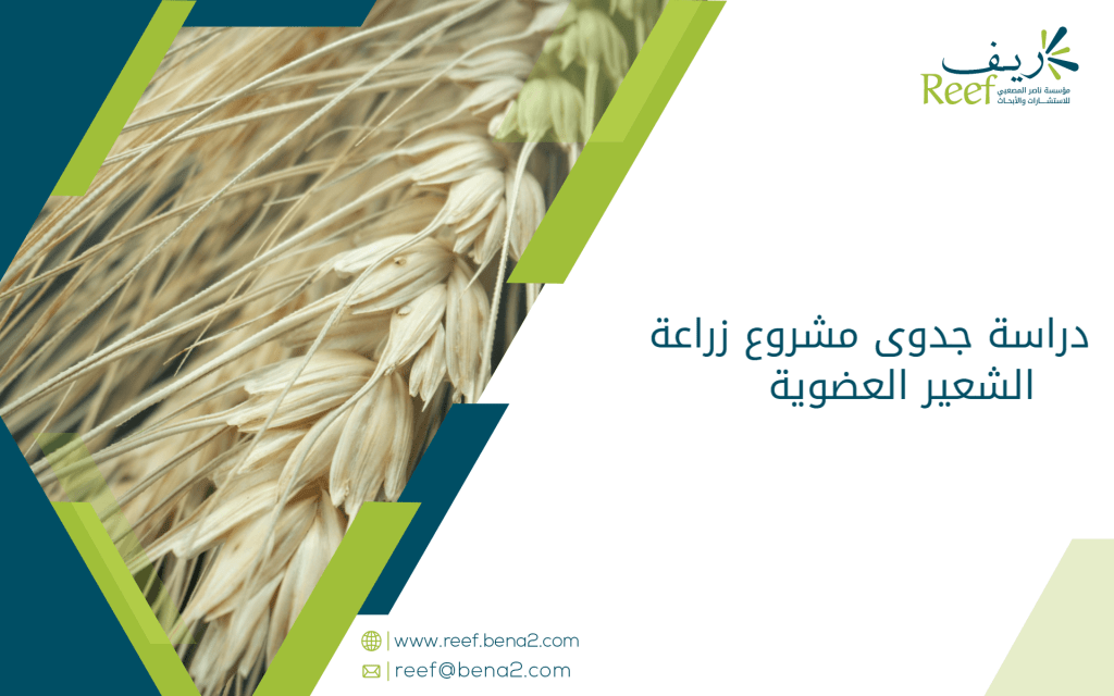 دراسة جدوى مشروع زراعة الشعير العضوية