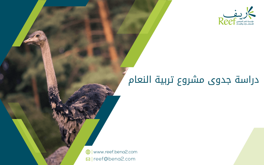 دراسة جدوى مشروع تربية النعام