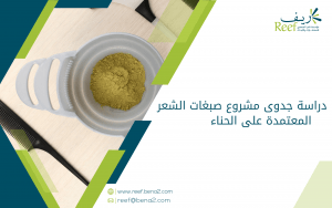 دراسة جدوى مشروع صبغات الشعر المعتمدة على الحناء